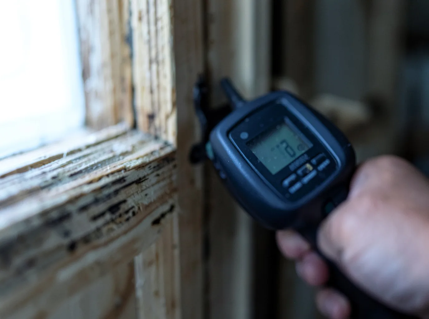 Moisture Inspection And Documentation in Castile, NY